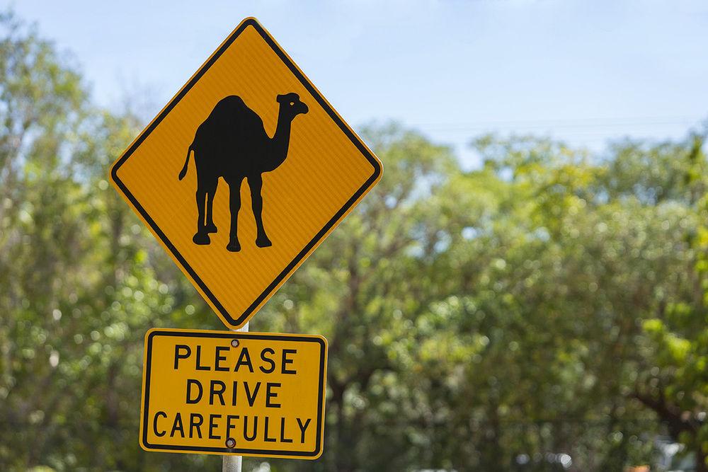 Kimberley Sands Resort (Adults Only) Broome Buitenkant foto